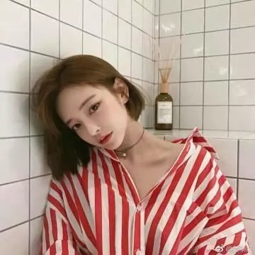 美丽的约定封面