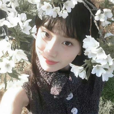 神勇飞虎霸王花封面